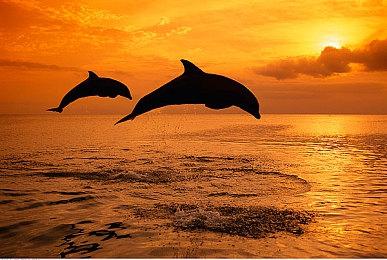 创意十足！ 任天堂发布《斯普拉遁3》六则TVCM