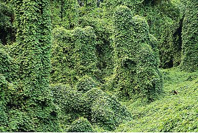 《暗黑破坏神4》噩梦地下城经验将在首个补丁中增加